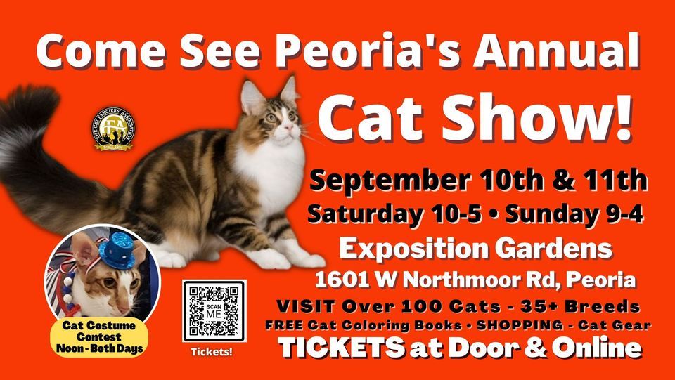 Come See Peoria's ANNUAL Cat Show This Weekend!