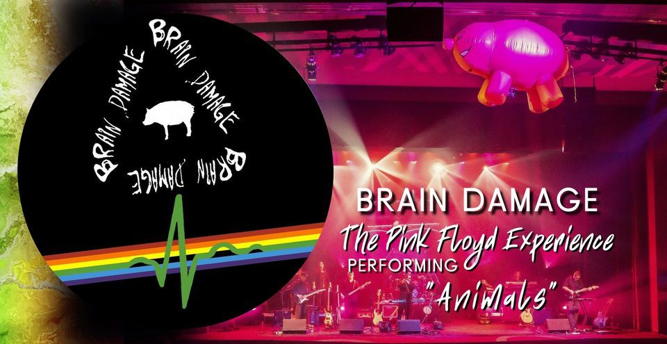 Brain Damage - Tribute to Pink Floyd Performs