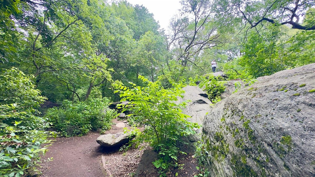 Mindful Nature Journaling Hike \/ Central Park (Manhattan)
