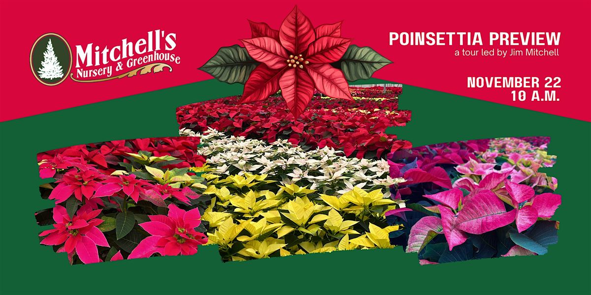 2025 Poinsettia Preview