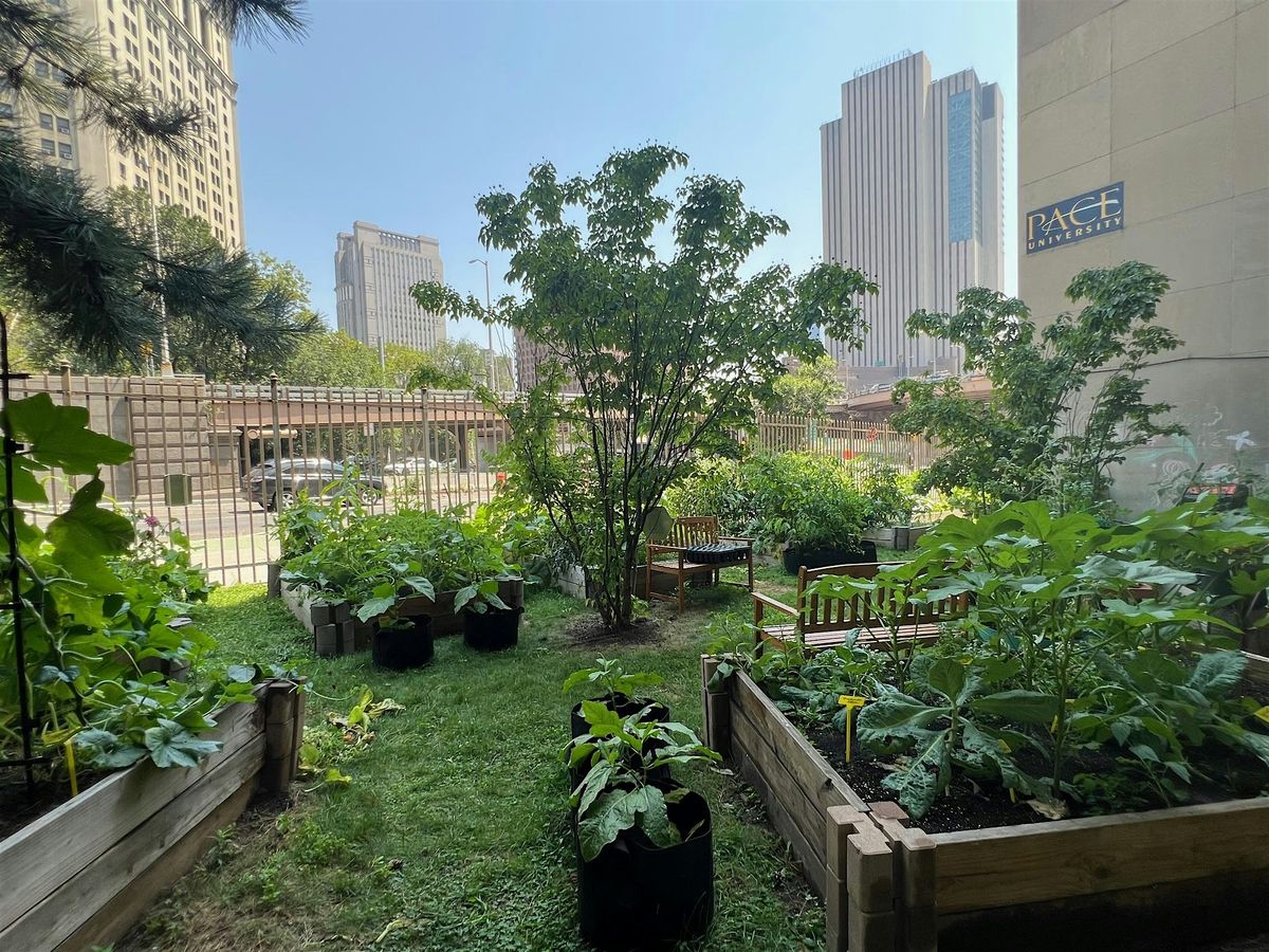 Cultivating Justice @ The Pace Land and Labor Acknowledgement Farm