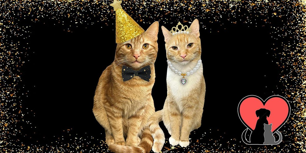 Whiskers & Wishes: 50 Years of Purrs, Tail Wags and Second Chances