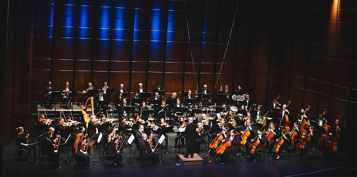 The Gainesville Orchestra - Holiday Pops