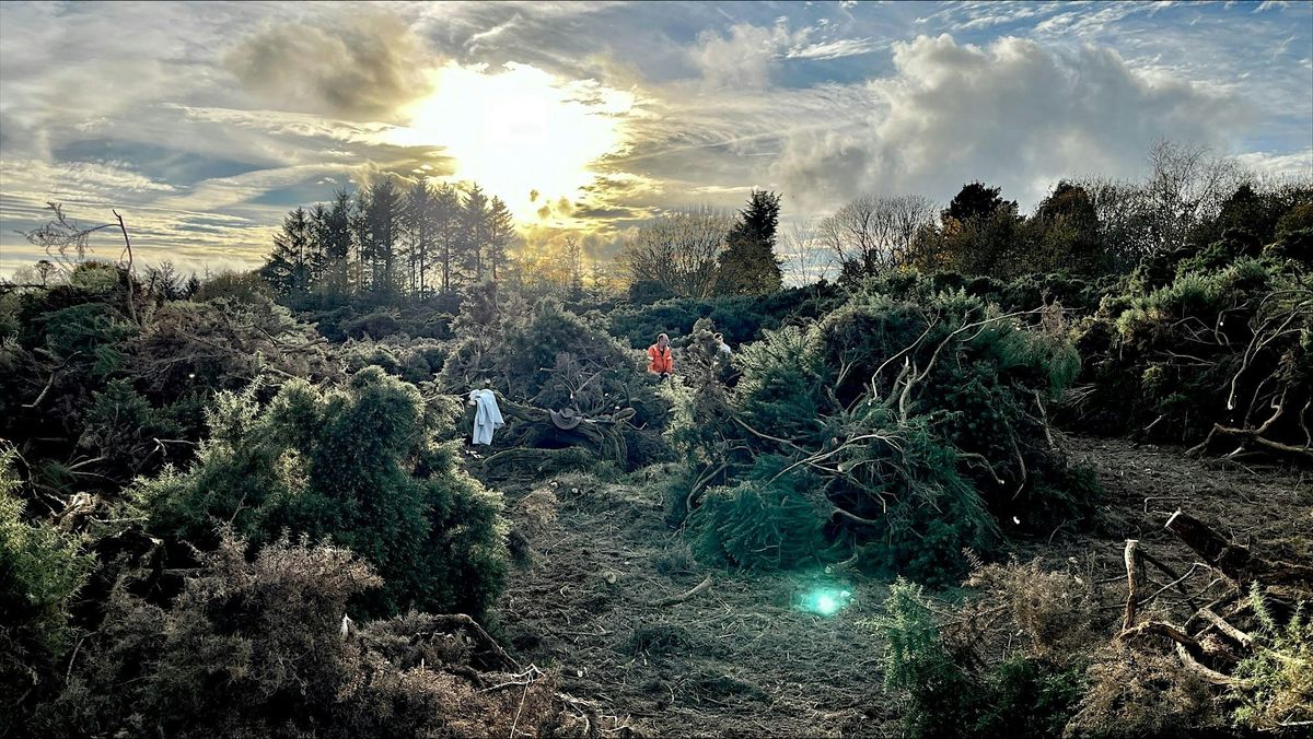 Save Our SSSI - Wetland Conservation