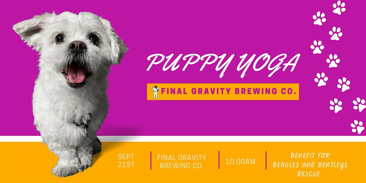 Puppy Yoga at Final Gravity benefiting Beagles and Bentleys Rescue!