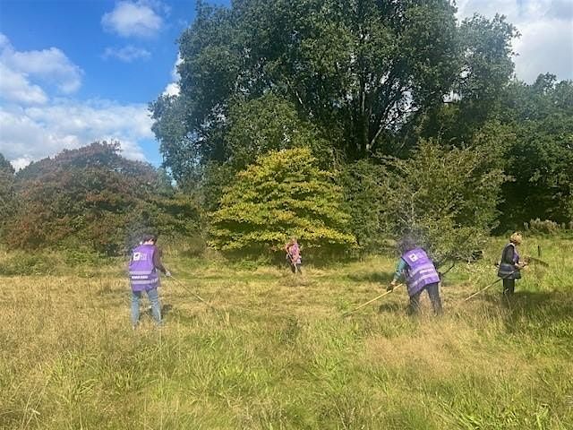 Gwirfoddoli gyda\u2019r Ceidwad | Volunteering with the Ranger