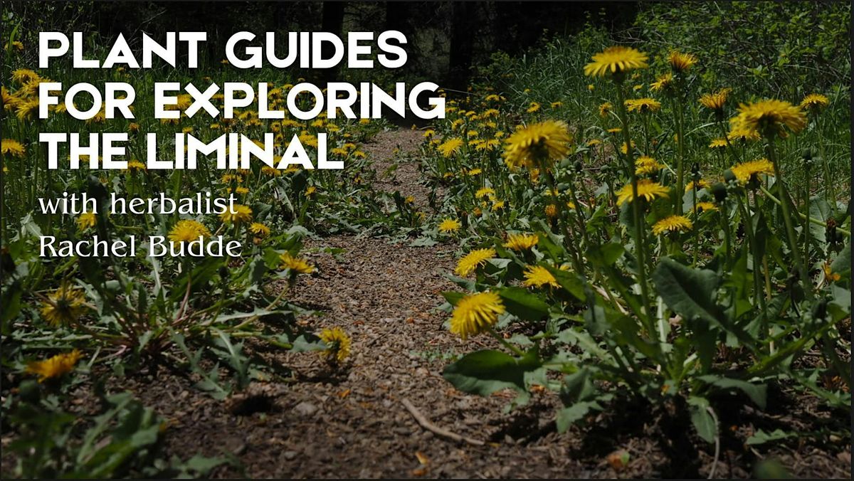 Plant Guides for Exploring the Liminal with Rachel Budde