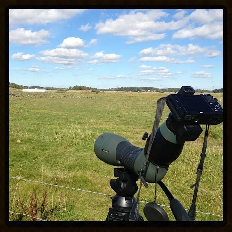 Today\u2019s Office with the "Birdchick'