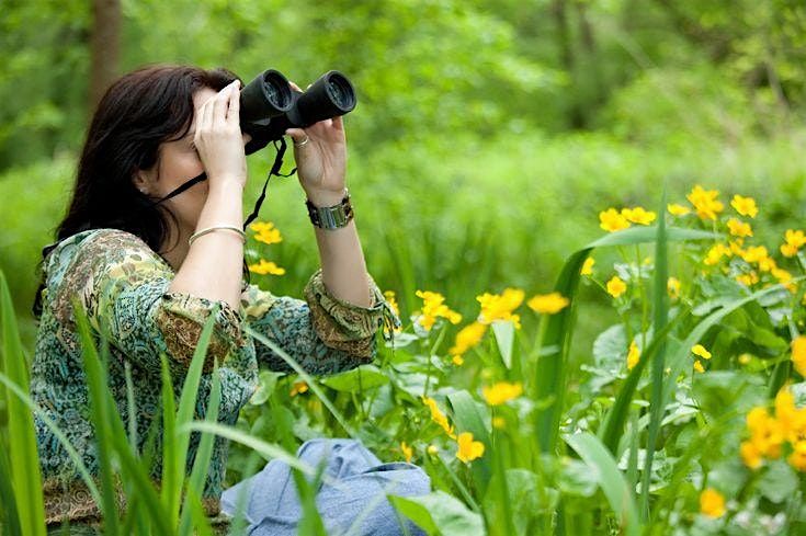 Springtime Symphony: Naturalist-led birdwatching hike.