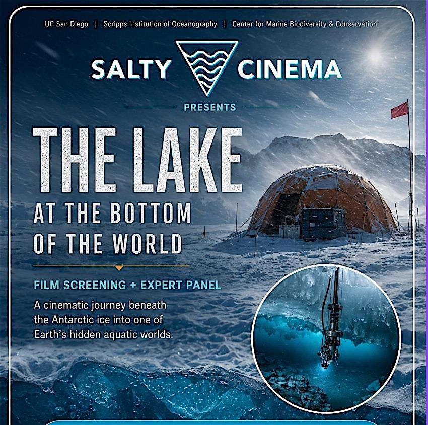 Salty Cinema Spring 2026 - The Pristine Protocol