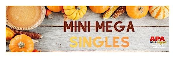 APA Thanksgiving Eve 8-Ball Mini Mega Singles Tournament