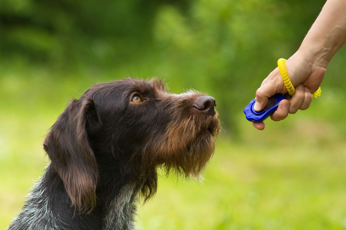 Animal Trainers' Retreat: Training With Love + Science