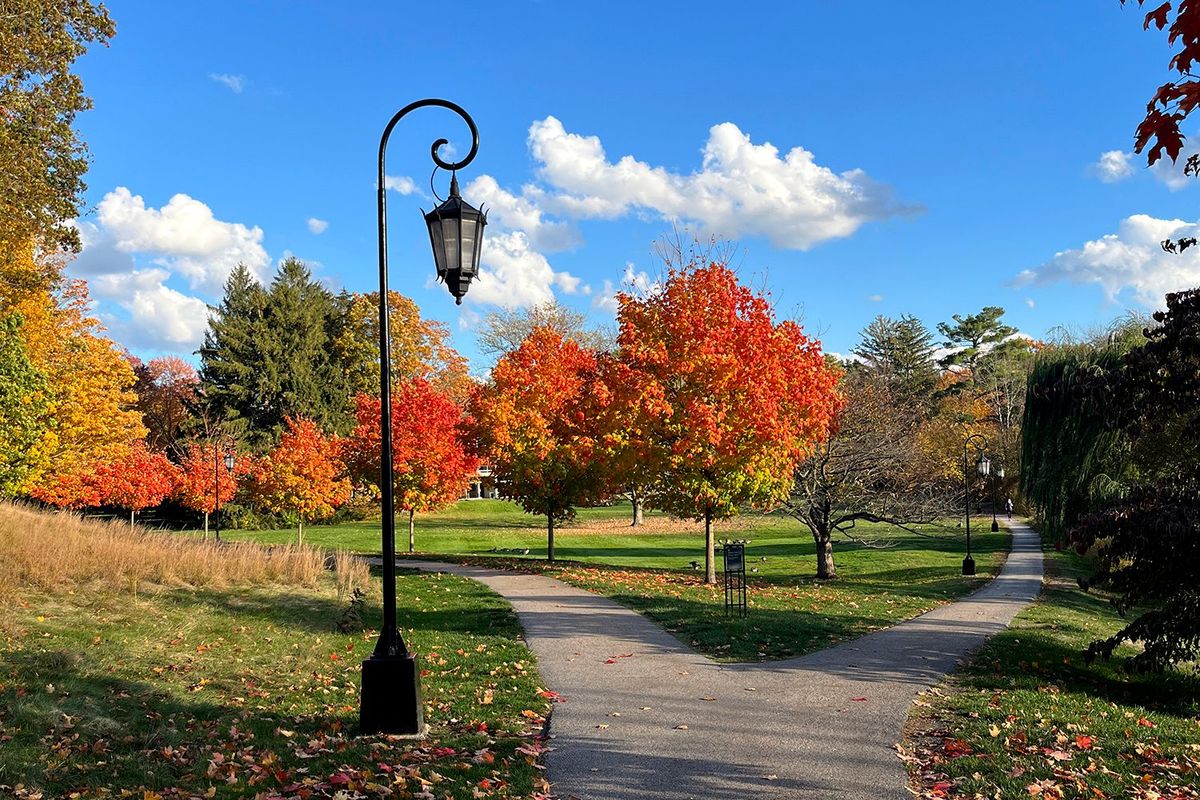 Parking The Music Man - Worcester