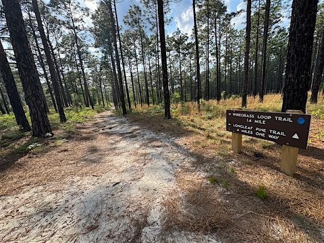 Meet North Carolina's Equine State Trail