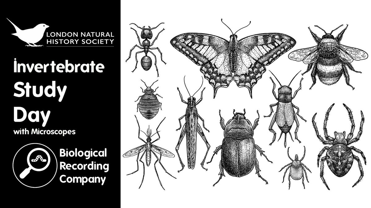 Invertebrate Study Day