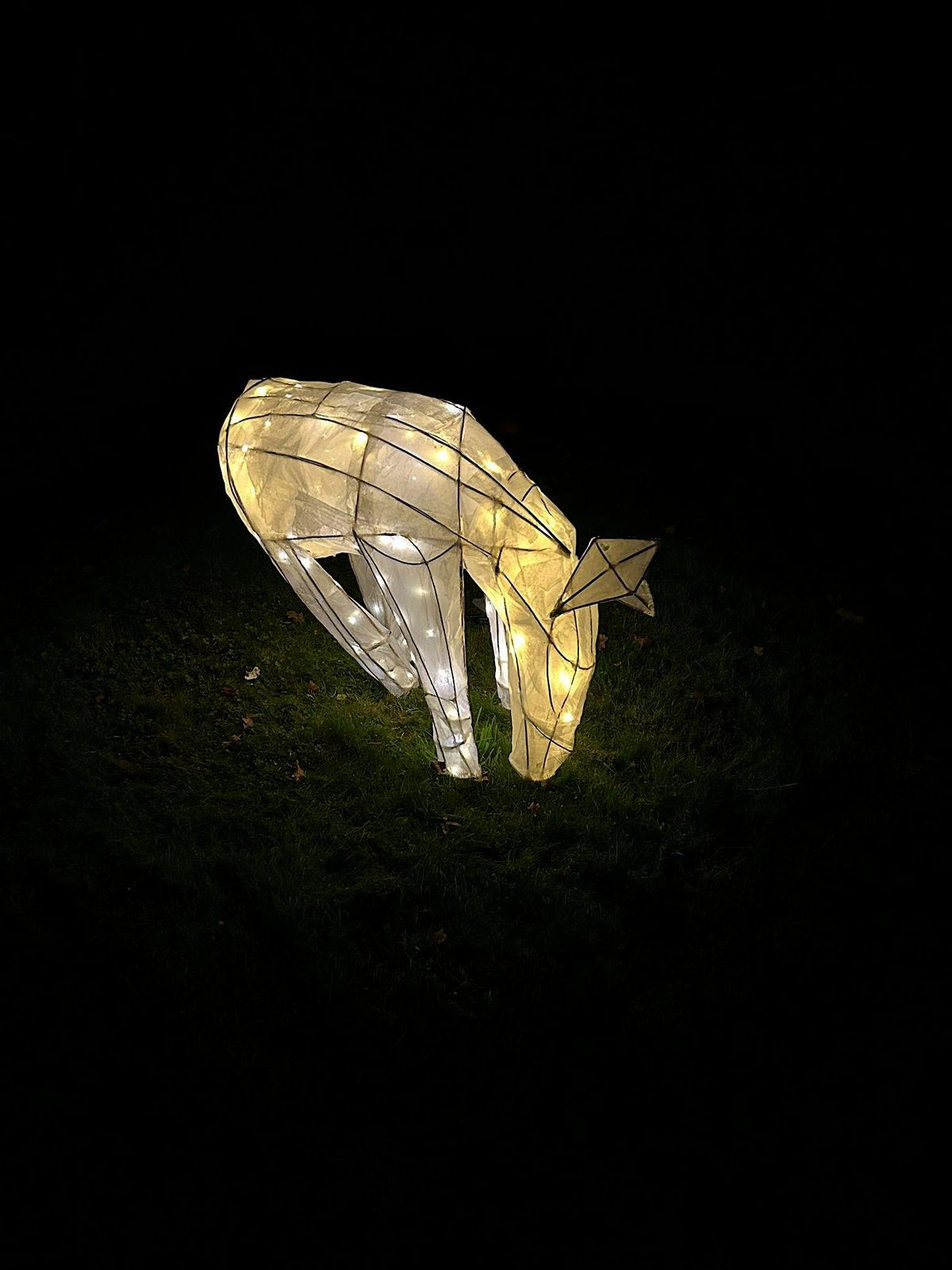 Willow Lantern Making
