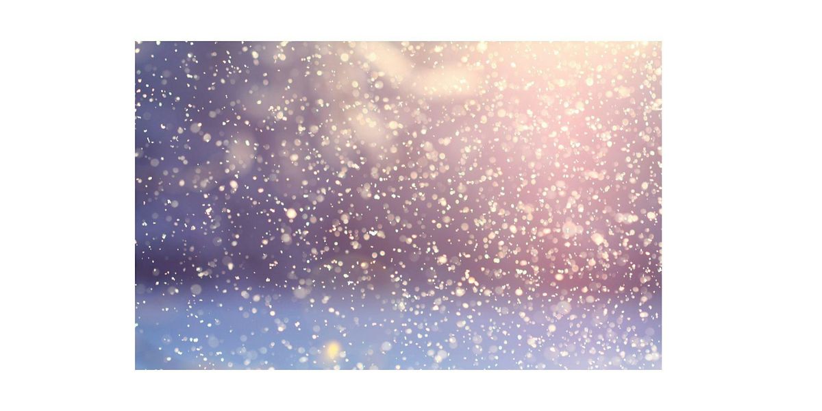 Solstice Stillness: Embracing the Return of the Light