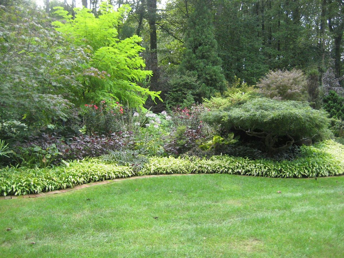 Learn to Grow: Gardening in the Mountains Part 2 Landscape Design