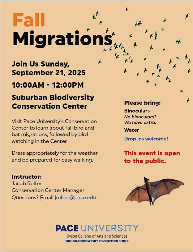Fall Migrations