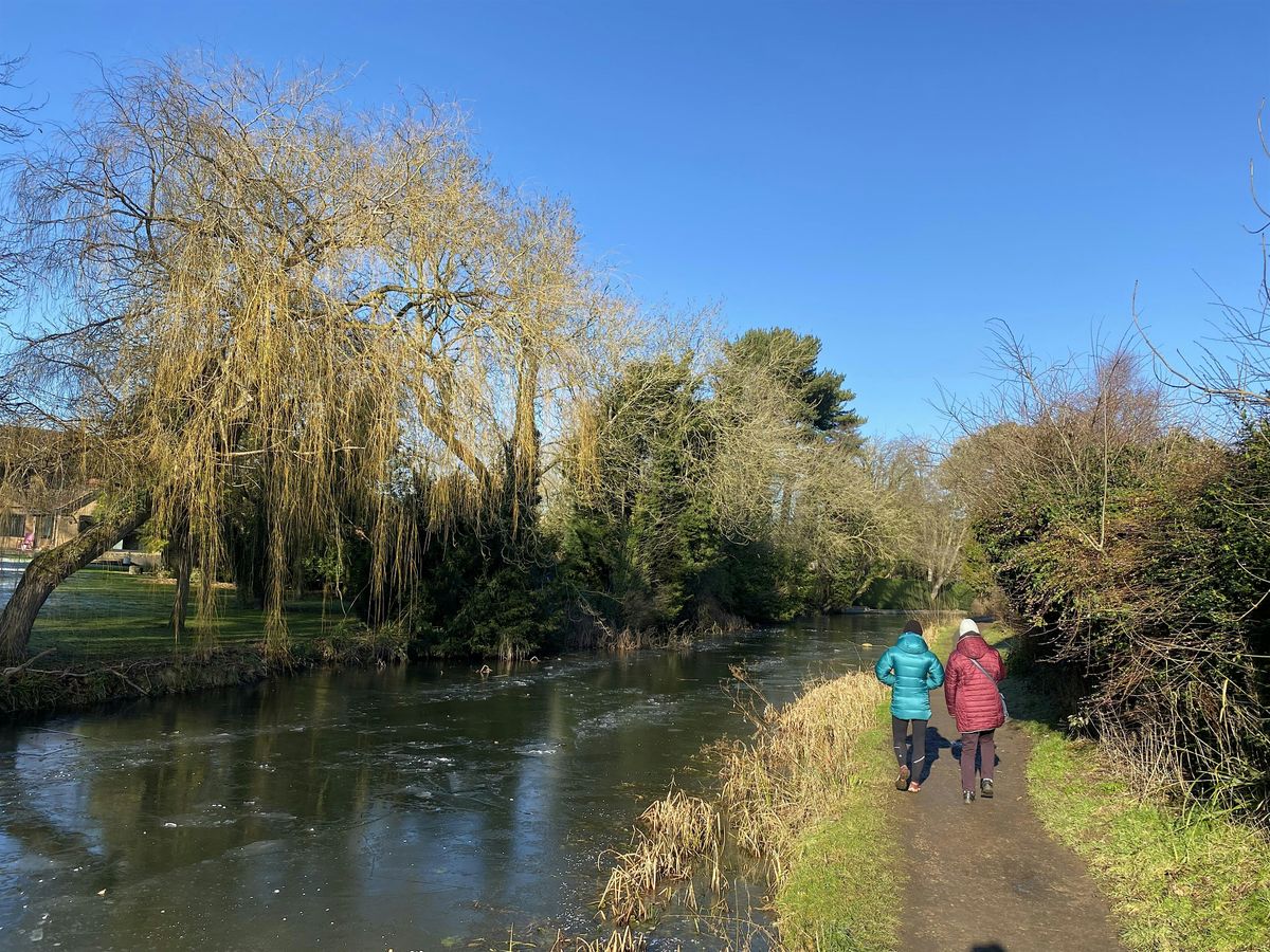 Towpath Walk, Waterways Wellbeing - Everards Meadow