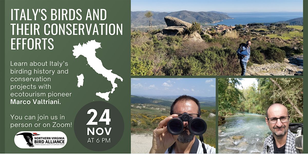 Italy's Birds and their Conservation Efforts with Marco Valtriani
