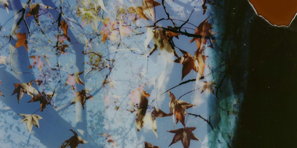 Photowalk Series: Blood Root Valley & Polaroid Manipulation