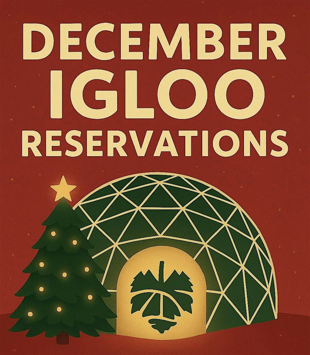 December Igloo Experience