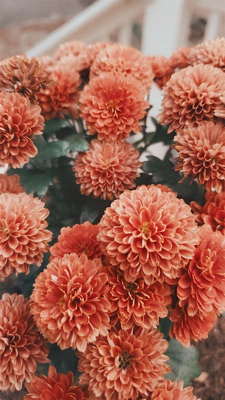 A celebration for Mum