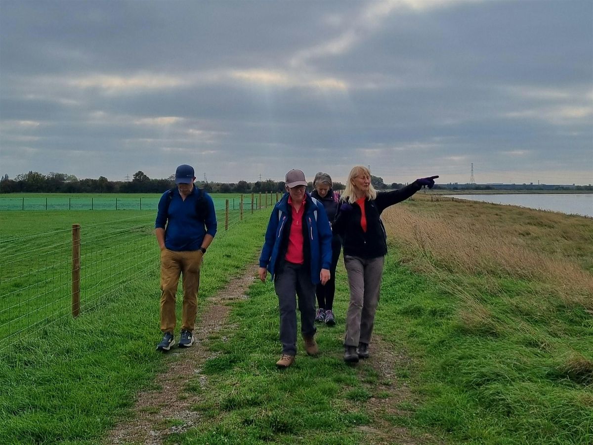 Somerset Coast Walk - Day 7: Bridgwater to Highbridge