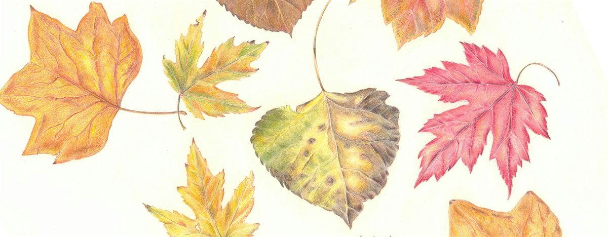 Drawing the Colors of Autumn