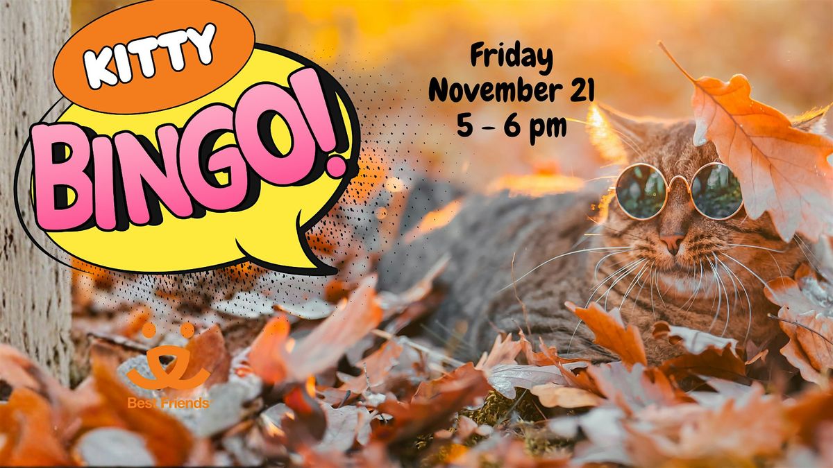 Kitty Bingo