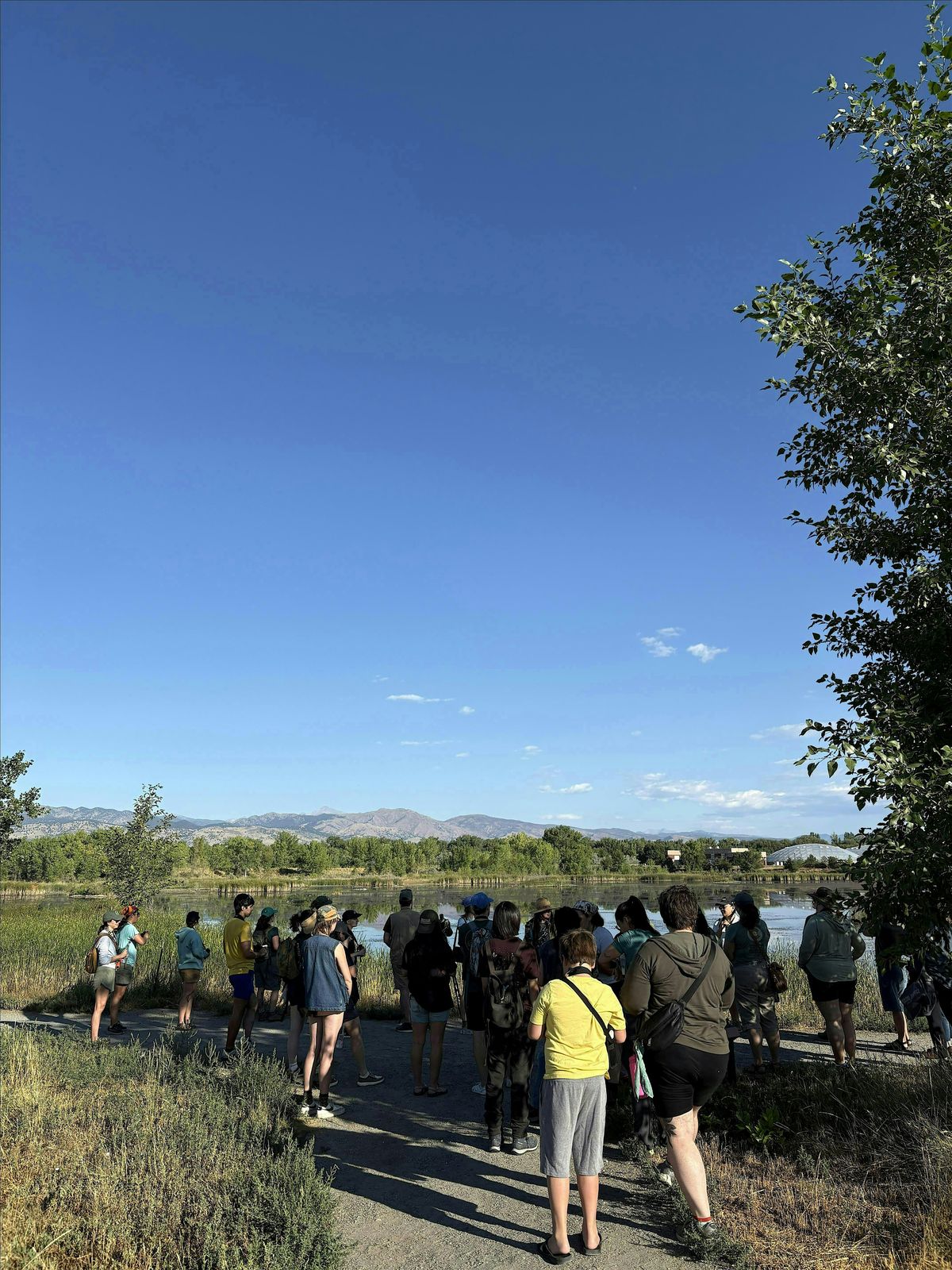 FBC Denver & Front Range November Bird Outing