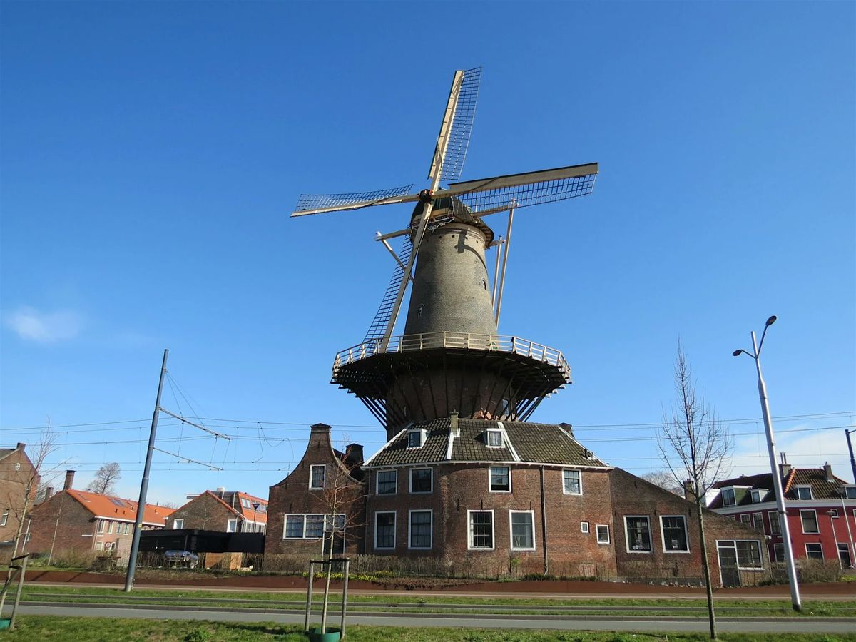 Flying Solo:  Molen de Roos tour with experts