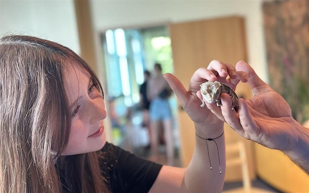 2025 Burpee Museum's Carl's Critter Corner, Mondays at 1 PM