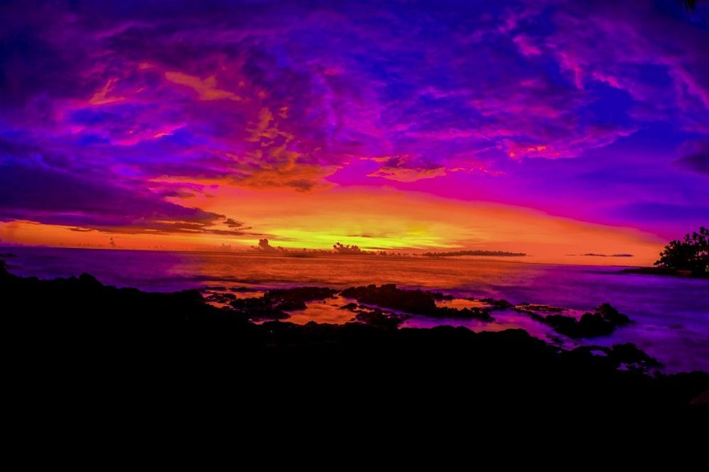 Open Coffee with Matthew Murray ('00) & Student-Made JMU Pop-Up Sale