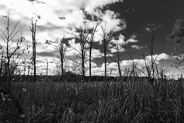 Spooky Stories Creative Writing \u2013 Inaugural Workshop