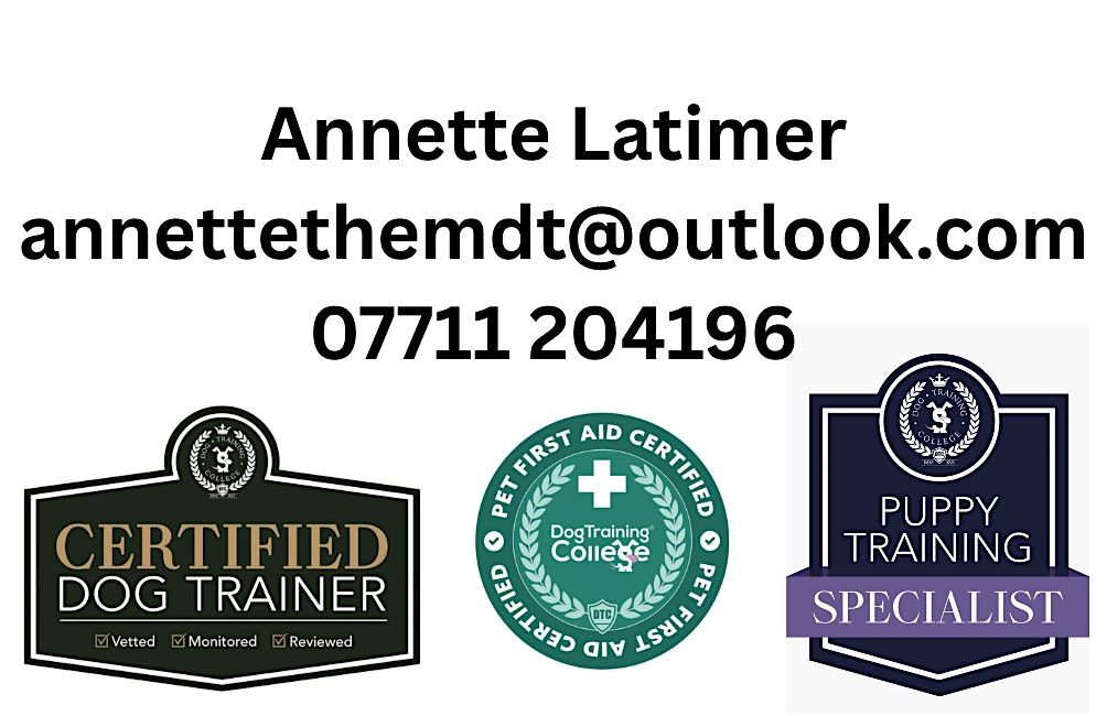 Puppy Training Classes