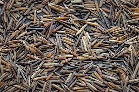 Wild Rice Processing