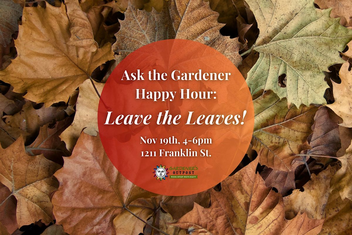 Ask the Gardener Happy Hour: Leave the Leaves!