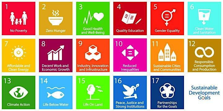 United Nations SDG Recruitment Day: UX\/AI & Sustainable Development Goals