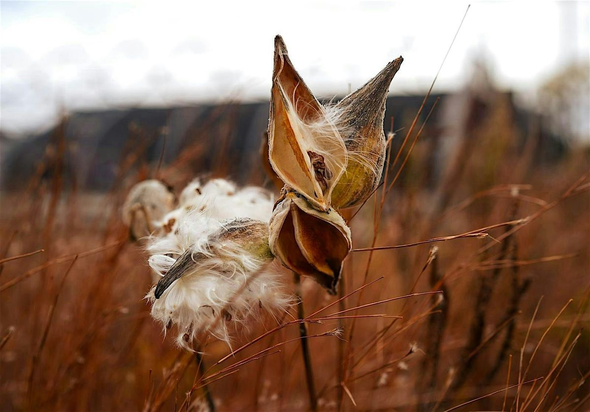 Fall Seed Collection Class