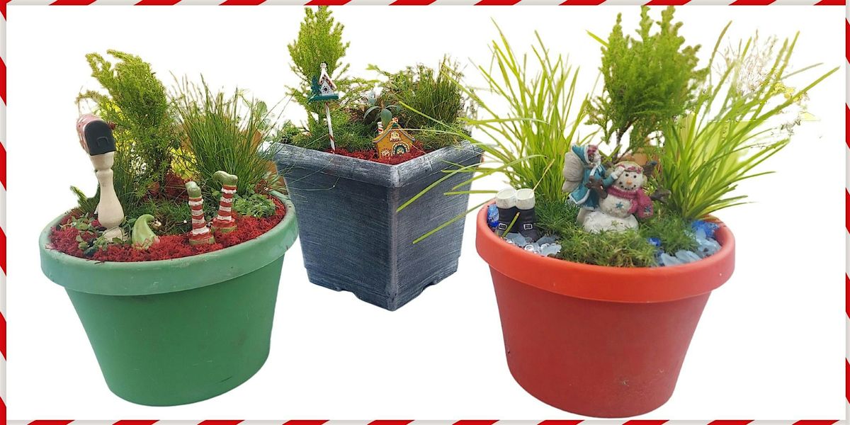 Making Holiday Mini Gardens!