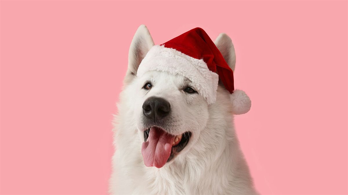 Santa Paws Pup Pix - Friday
