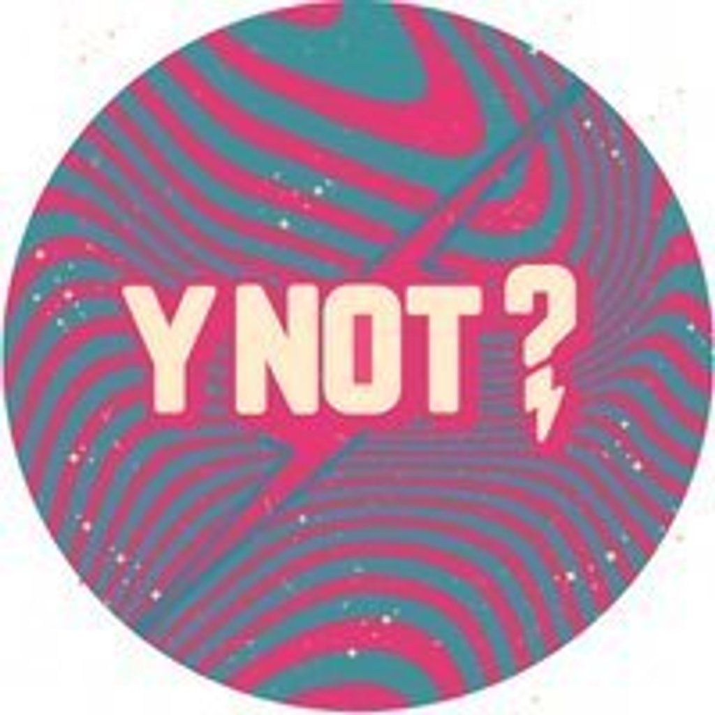 Y Not Festival