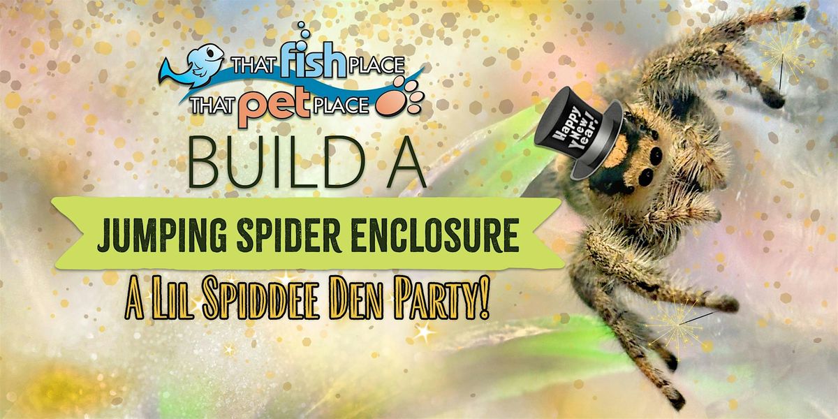 Build a Jumping Spider Enclosure- A Lil Spiddee Den Party!