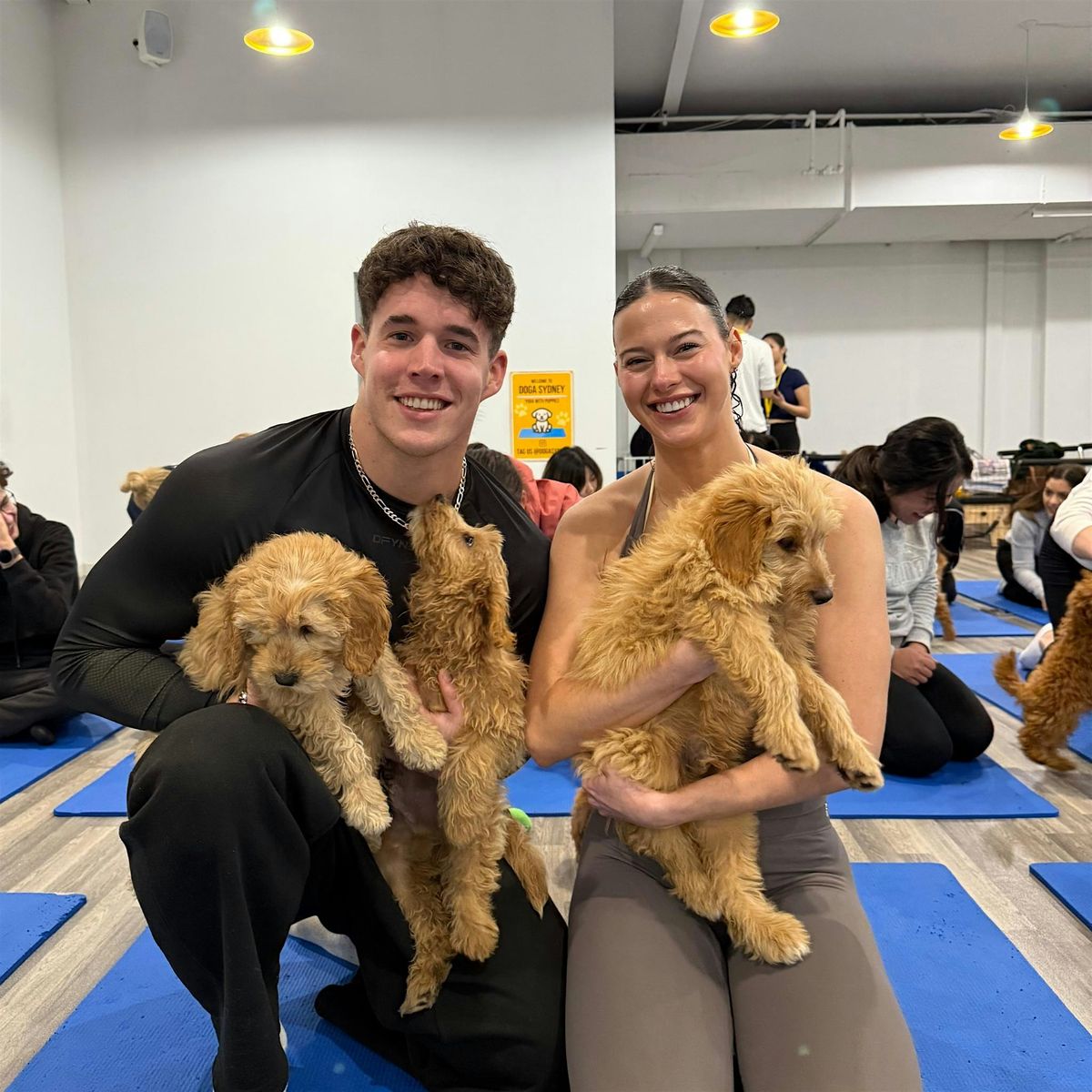 Puppy Yoga Sydney - Liverpool