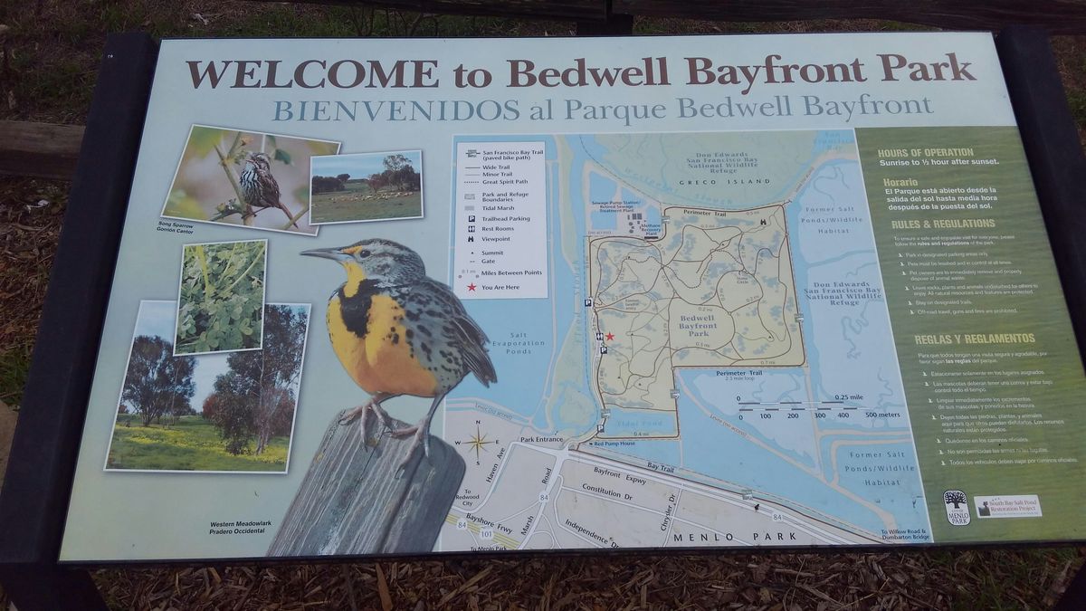 TGIF at Bedwell Bayfront Park