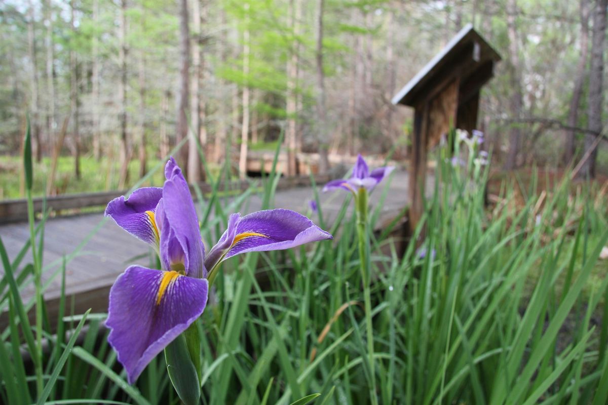 Rain Gardens: Nature's Filter for Barrier Islands, Seminar and Garden Tour