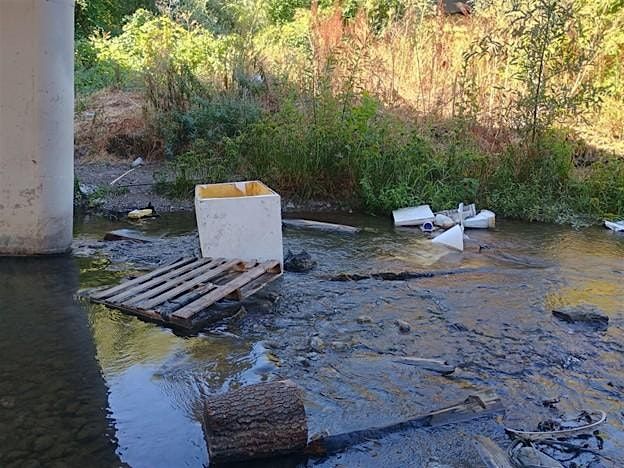 Mid-Week Cleanup Event On Guadalupe River at Wren Drive
