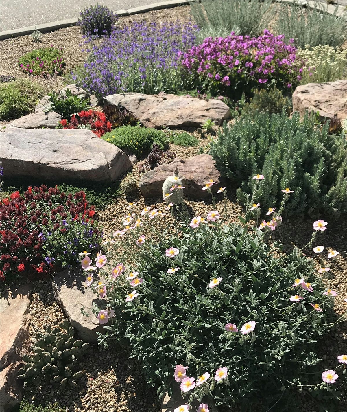 Sustainable Landscaping for Community Leaders